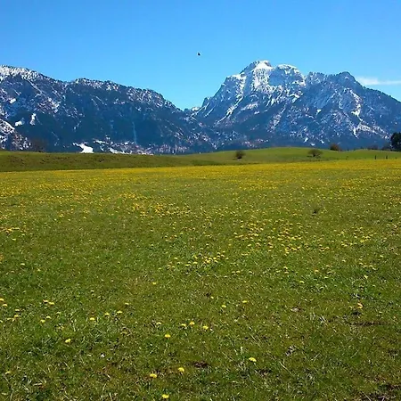 Gaschler 1 Oy-Mittelberg